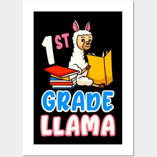 1st Grade Llama Funny First Grader School Posters and Art